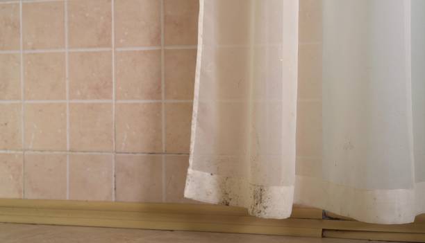 Best Mold Remediation for Healthcare Facilities  in Marin City, CA
