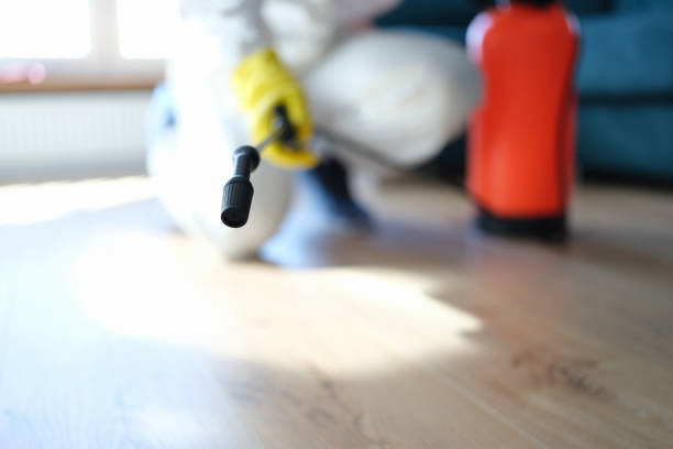 Best Mold Odor Removal Services  in Marin City, CA