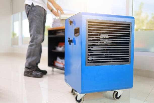 Best Mold-Related Health Consultation  in Marin City, CA