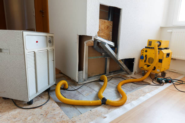 Best Post-Remediation Verification Testing  in Marin City, CA