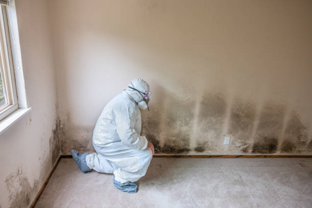 Best Mold Documentation for Insurance Claims  in Marin City, CA