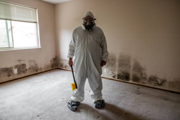 Best Post-Construction Mold Inspection  in Marin City, CA